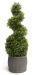 Kunststoffen Topiary Gras Spiraal van Primrose® - 100cm