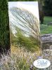 6ft x 2ft 6in Large Gold Garden Mirror - by Reflect™