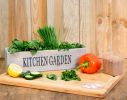 Kweek Je Eigen Tuin - Vensterbank Plantenbak met 5 zaden en compost - Italiaanse Salades