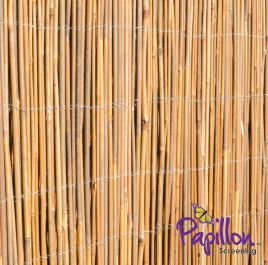Papillon™ - Natuurlijke Tuinmat van Dikke Bamboe -  300cm x 100cm