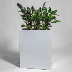 Witte Glos Polystone Hoge Trog Plantenbak - 100cm