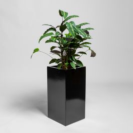 Zwarte Glos Polystone Hoge Kubus Plantenbak - 80cm