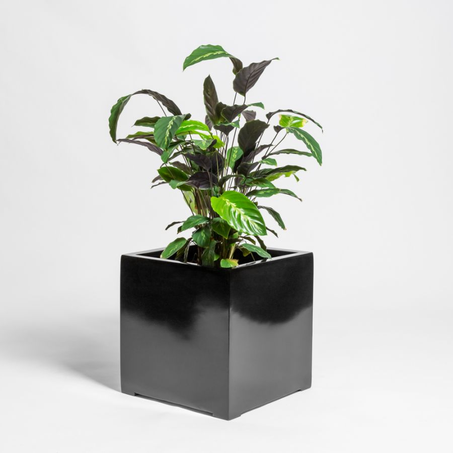 Zwarte Glos Polystone Kubus Plantenbak - 60cm