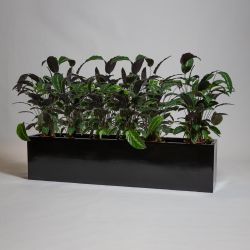 Zwarte Glos Polystone Lage Trog Plantenbak - 150cm