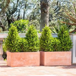 Set met twee 103 Liter Langwerpige "Terracotta" Plantenbakken van Fibrecotta