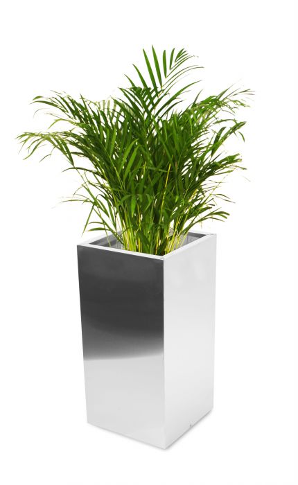 Hoge Vierkante Geborstelde RVS Plantenbak – 35cm x 110cm