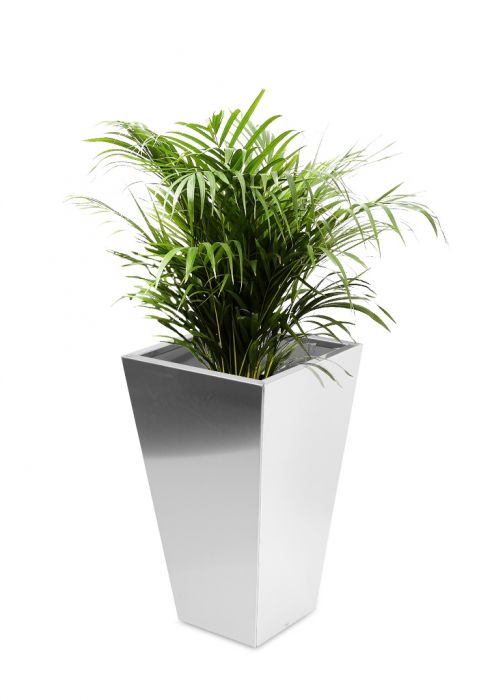 Hoge Uitlopende Vierkante Geborstelde RVS Plantenbak – 40cm x 70cm