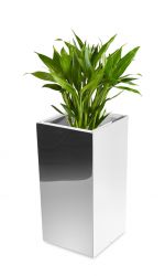 Hoge Vierkante RVS Plantenbak met Spiegel-Effect – 35cm x 70cm