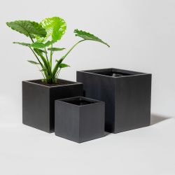 Donkergrijze Fibrecotta Kubus Plantenbakken – Gemengd Set van 3 - H30/40/50cm