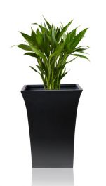 Zwarte Uitlopende Vierkante Plantenbak - H55cm