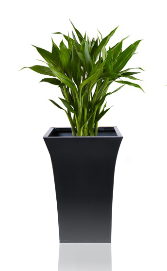 Uitlopende Vierkante Plantenbak, Zwart - H50cm