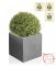 Kadamus Fibrecotta Cube Planter in Dark Grey Meteor Texture - W50cm
