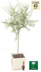 H43cm, Glinsterende Witte Vierkante Plantenbak - van Primrose™