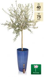 H75cm, Pacific Blauwe Cilinder Plantenbak - van Primrose™