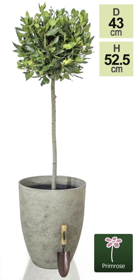 Primrose™ - Verouderde Kalksteen Plantenbak - H52,5cm