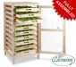 Traditional Apple Storage Rack - 10 Drawers H126cm x W58.5cm x D53cm by Lacewing™