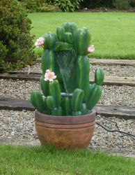 Bebloemde Cactus in Pot Fontein