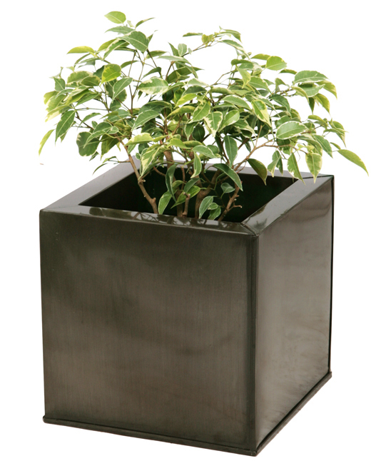 Kubus plantenbak, Tin (verzinkt) – Extra Groot 50cm