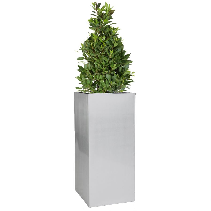 Hoge Kubus Plantenbak, Zilverkleurig (Verzinkt) – Middelgroot Hoogte 75cm x Breedte/Diepte 32cm