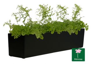 Plantenbak - Mat Zwart