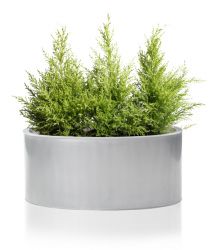 Zilverkleurige Lage Ovale Verzinkt Stalen Plantenbak - B60cm